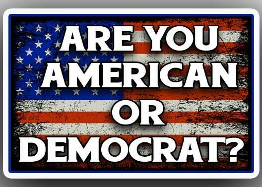 "are You An American Or A Democrat?" Anti Liberal Trump Sticker Pro Gun Rights