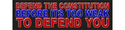 Defend The Constitution Before It Is Too Weak Political Bumper Sticker Decal 696